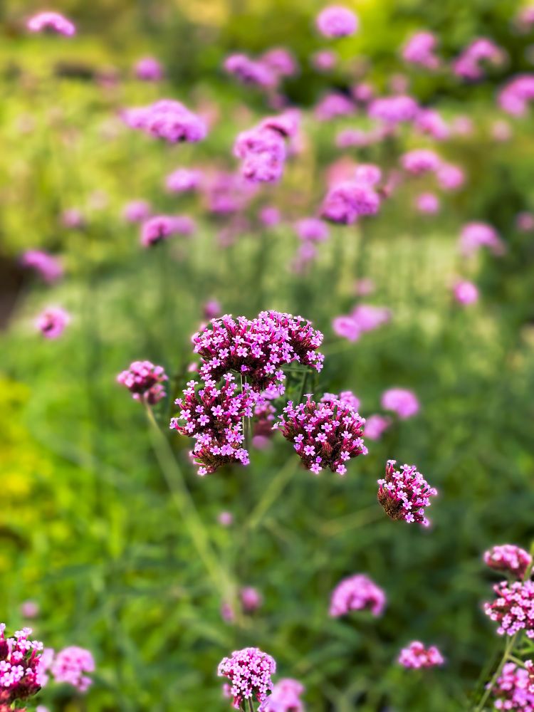 Photograph by Ярослав Титарчук