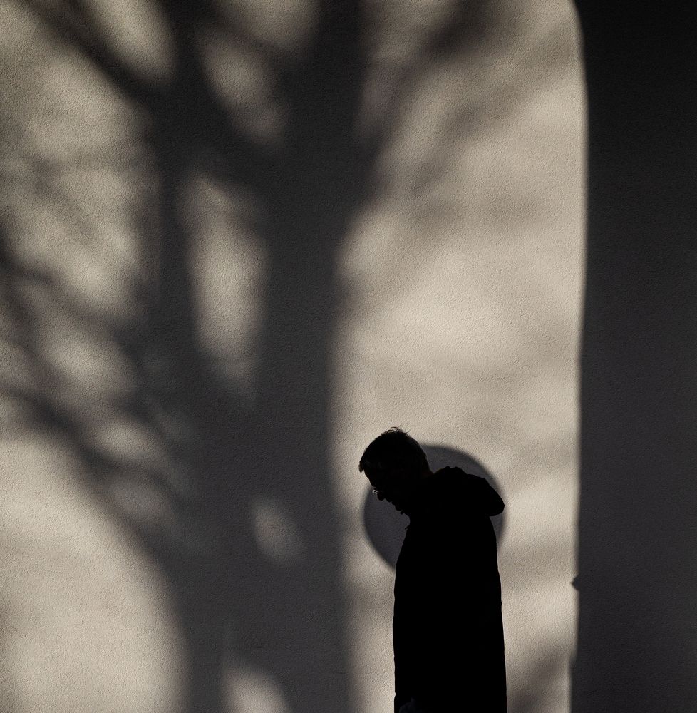 Фотография автора Vincenzo Barone