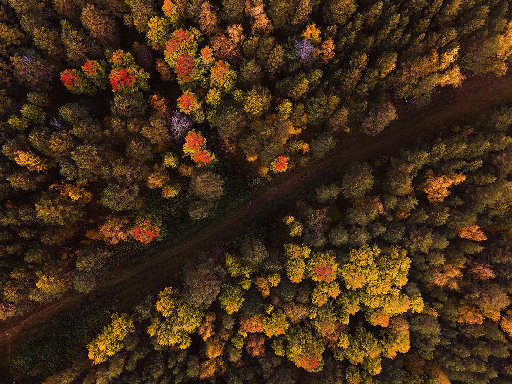 Photograph by Sokolova Tatiana