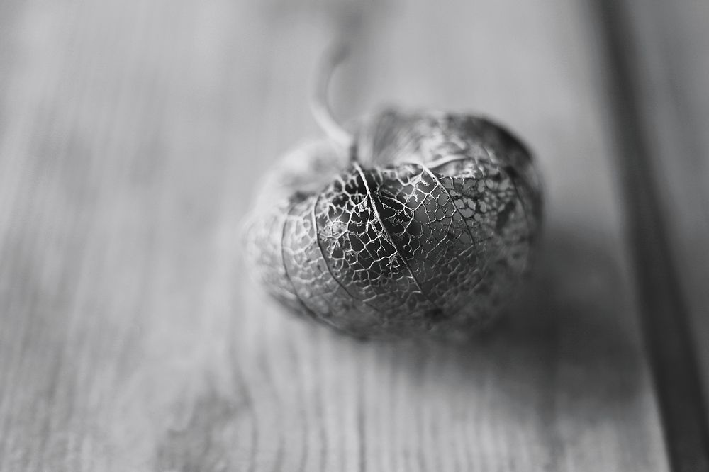Photograph by Anna Lin