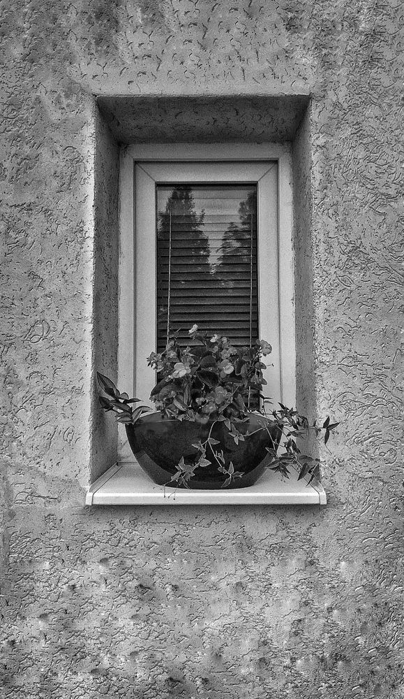 Photograph by Наталя Мартинчик