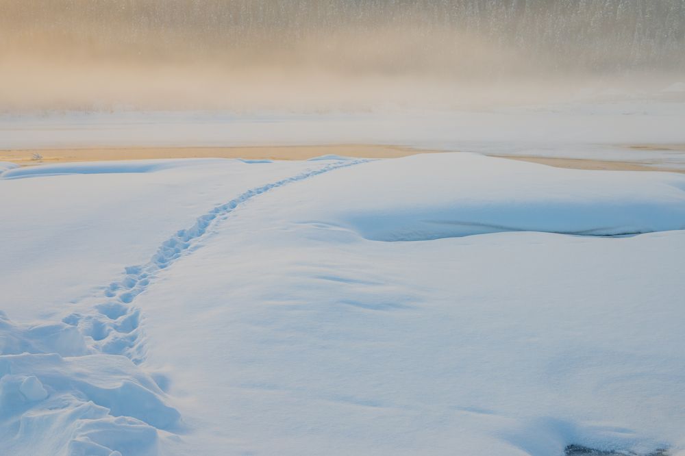 Photograph by Денис Пономарёв