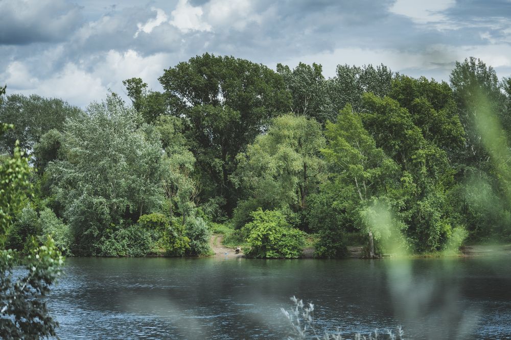 Photograph by Алексей