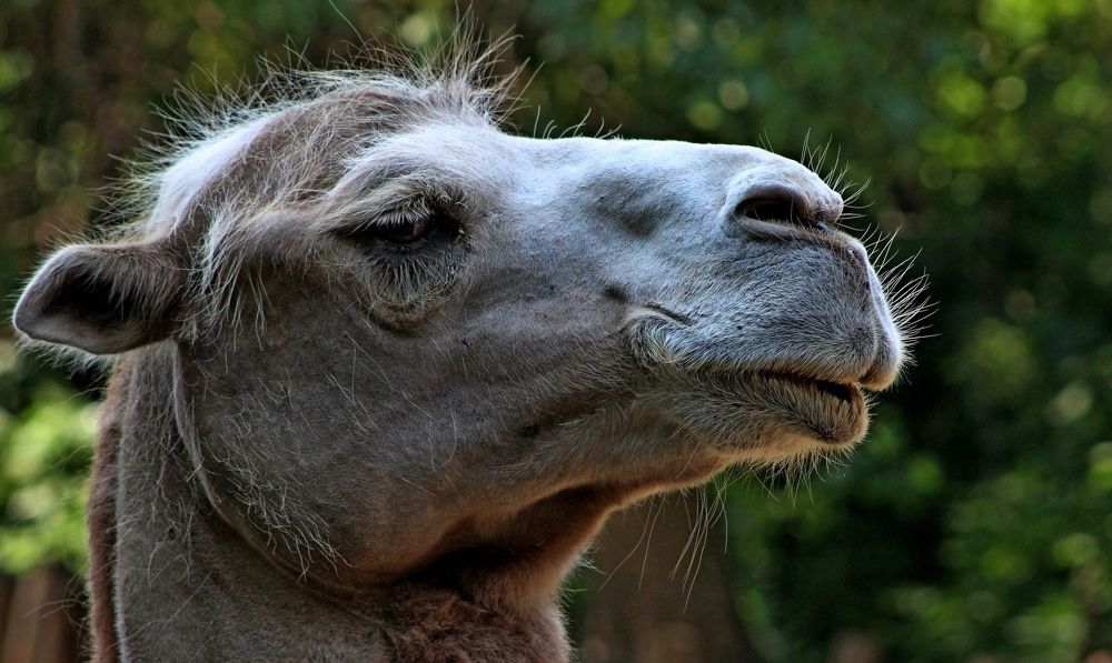 Photograph by Galina Tsmyg