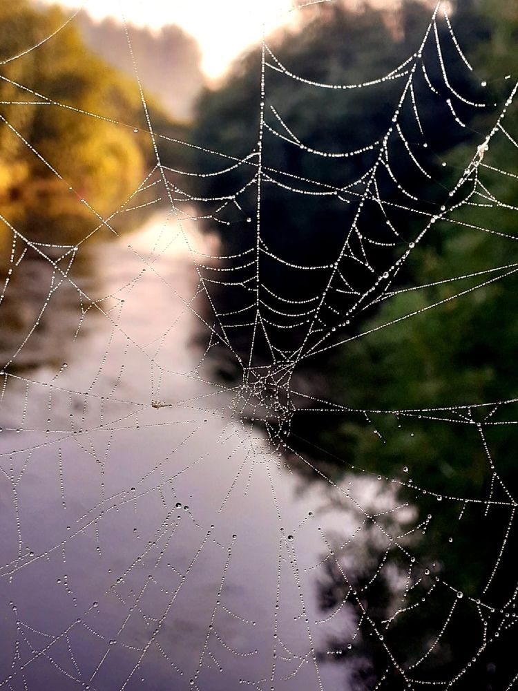 Лето на реке Миасс