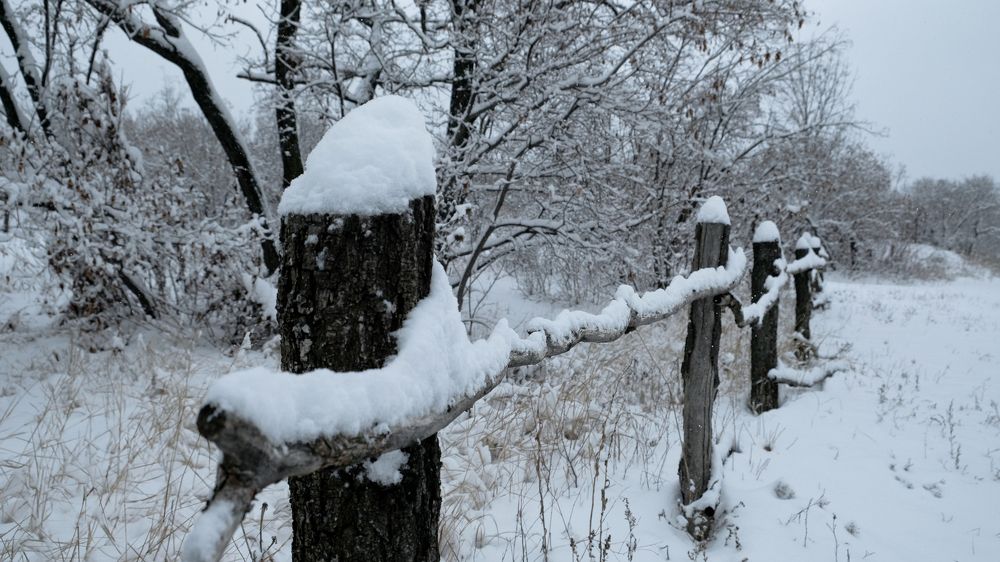 Photograph by Андрей Букин