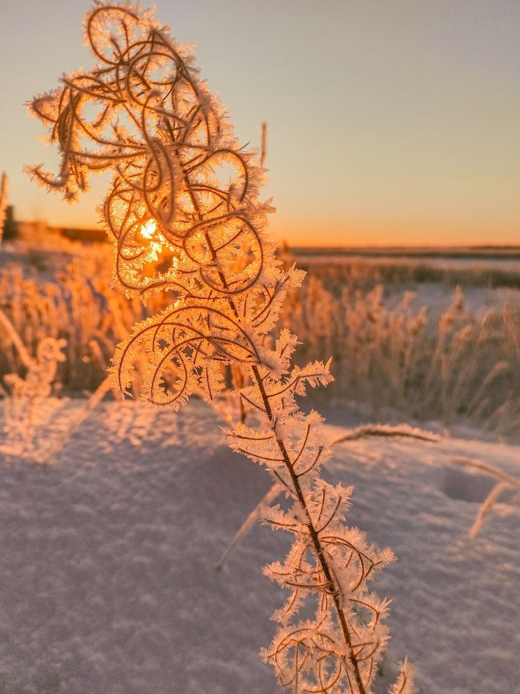 Пейзаж на заснеженном рассвете