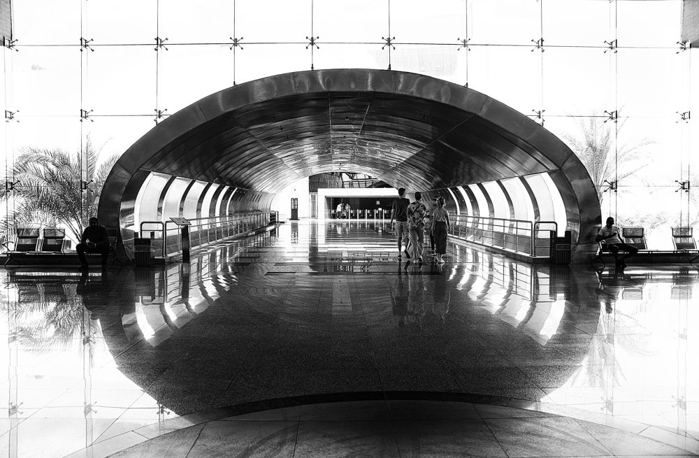 Фотография автора Sherine El Mously