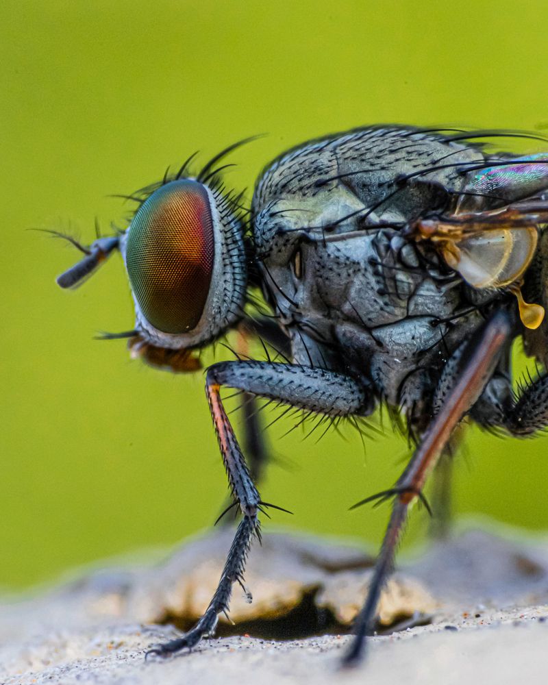 Photograph by Desikan Venkataraghavan