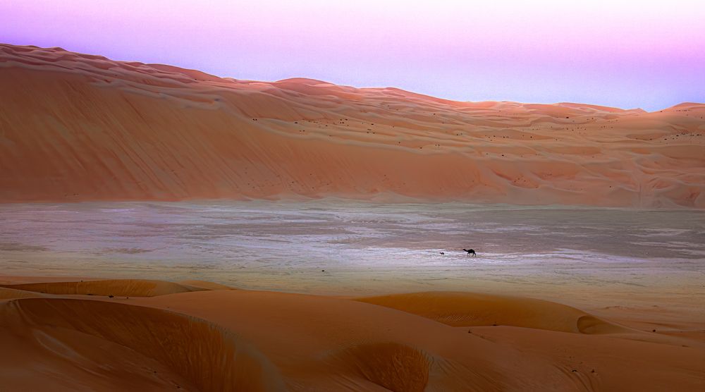 Photograph by Anjitha Senarath