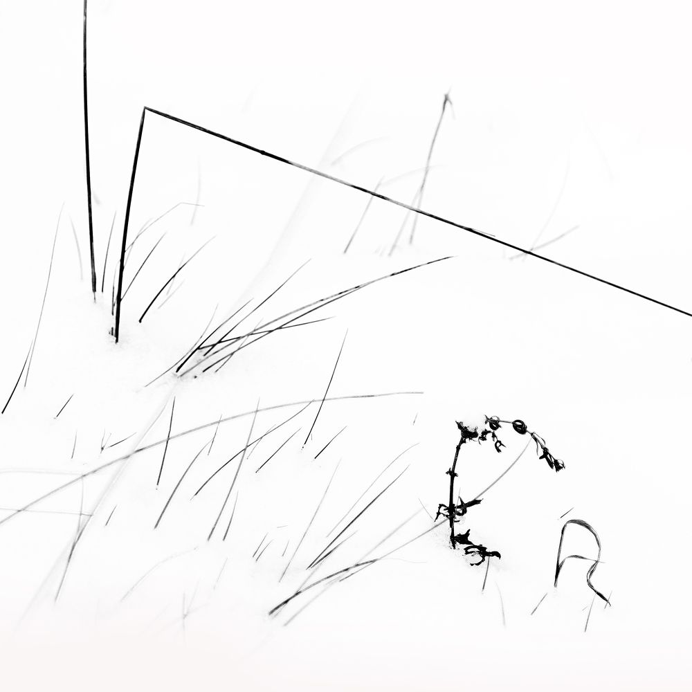 Photograph by Gabriella Szabo