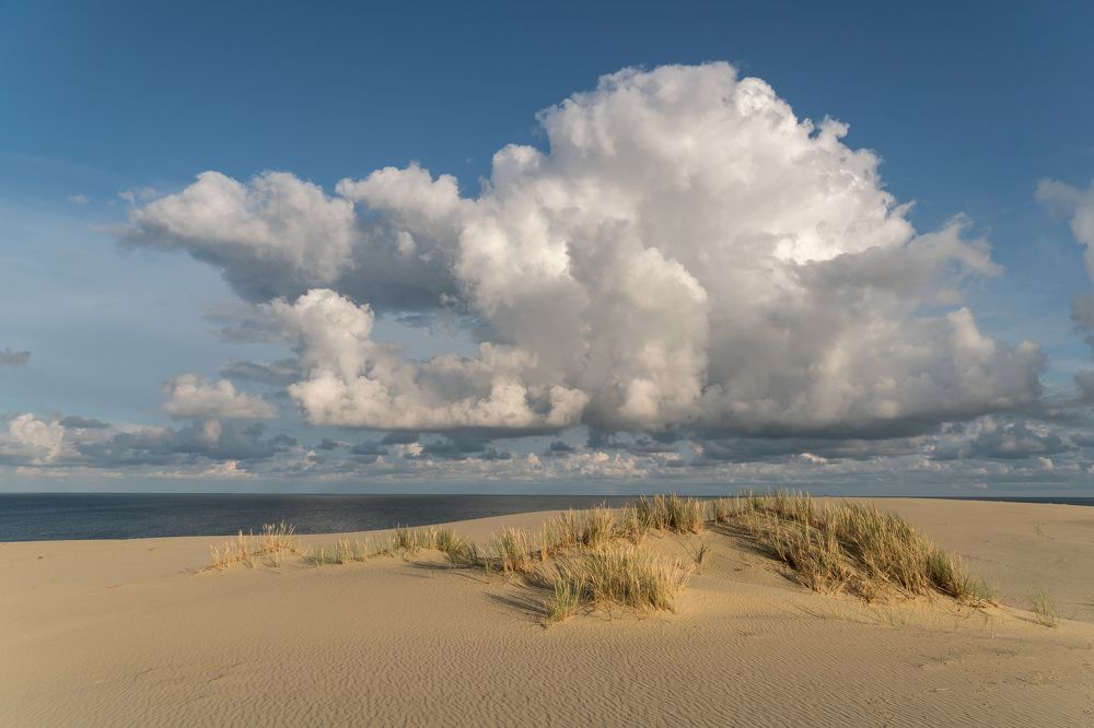 Photograph by Татьяна Рутковская