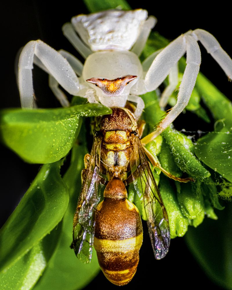 Photograph by Desikan Venkataraghavan