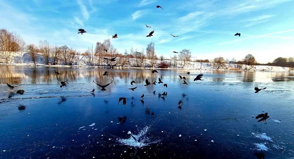 Photograph by Галина Баранова