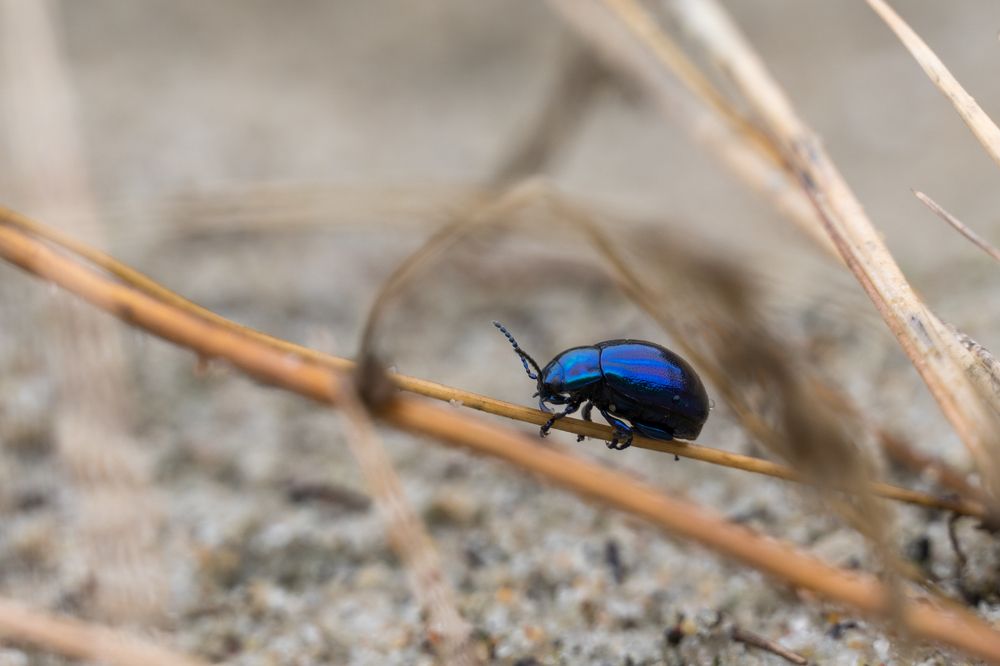 Photograph by Татьяна Рутковская