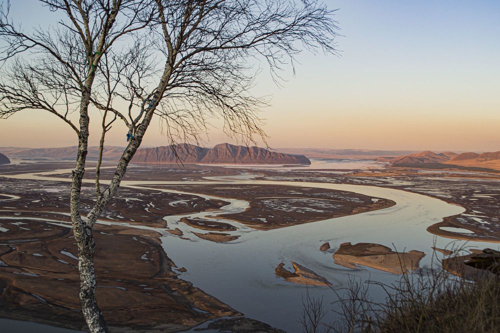 Фотография автора Светлана Воротынцева
