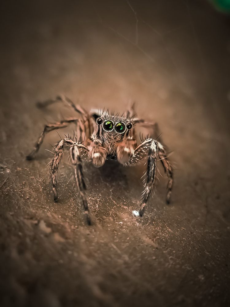 Photograph by Dipankar Patra