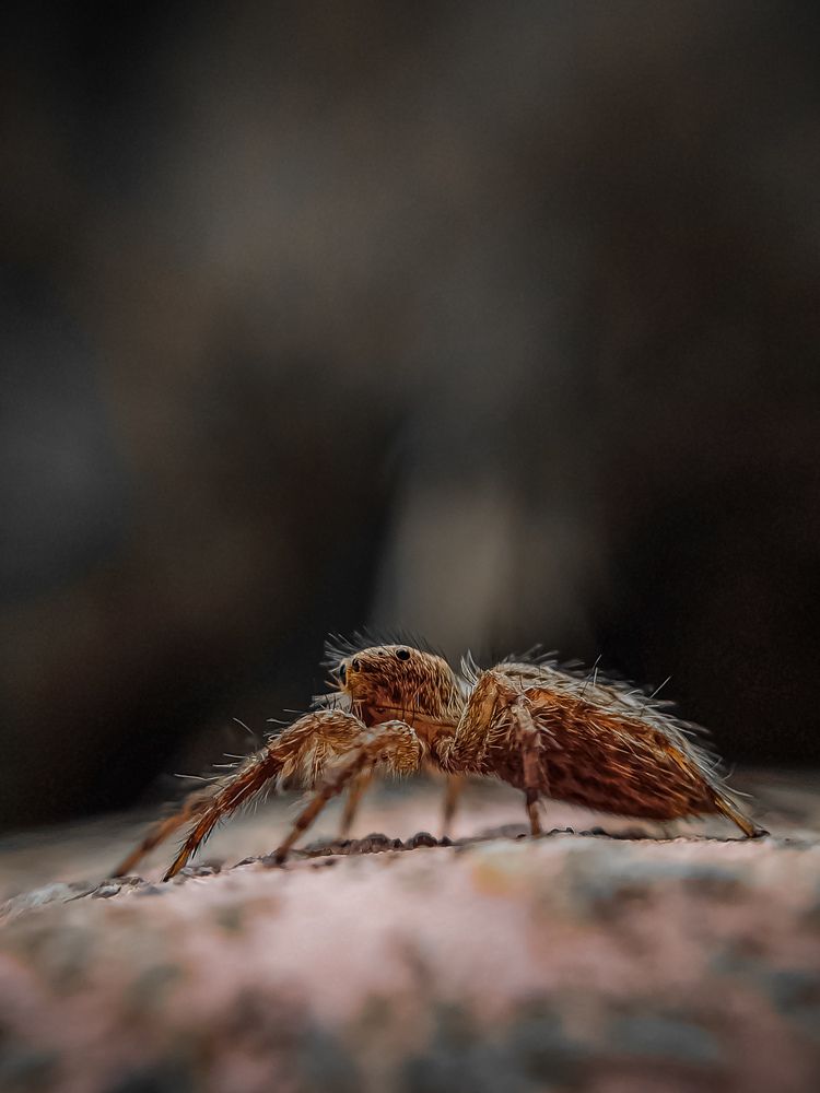 Photograph by Dipankar Patra