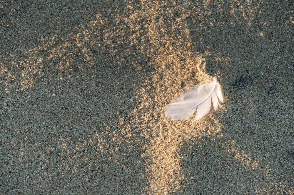 Photograph by Татьяна Рутковская