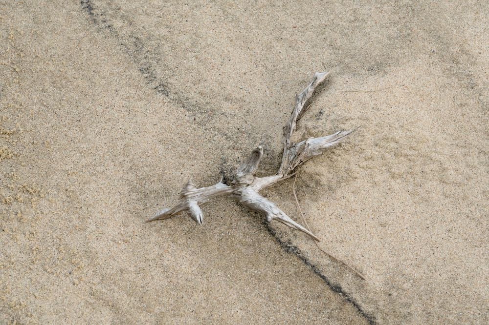 Photograph by Татьяна Рутковская