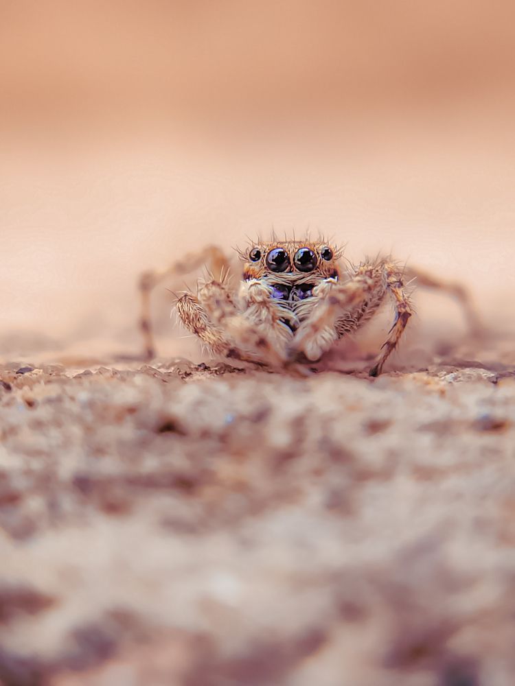 Photograph by Dipankar Patra