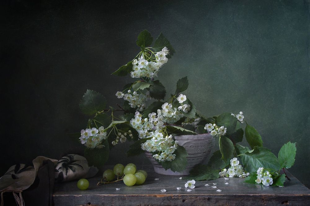 Photograph by Курочкина Диана