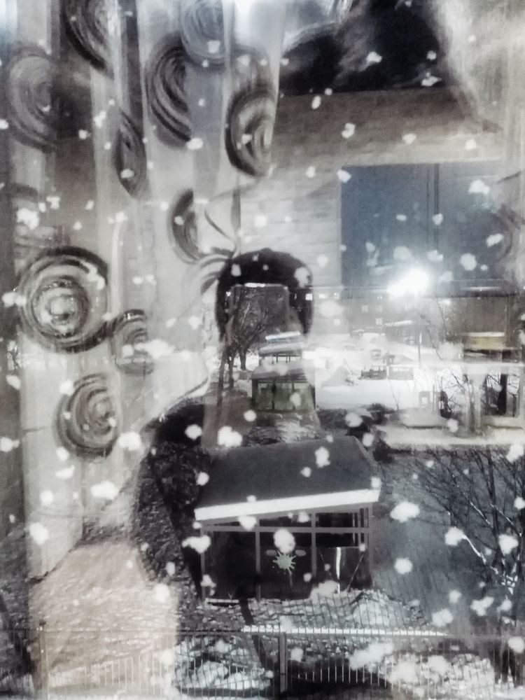 Photograph by Хамитова Светлана