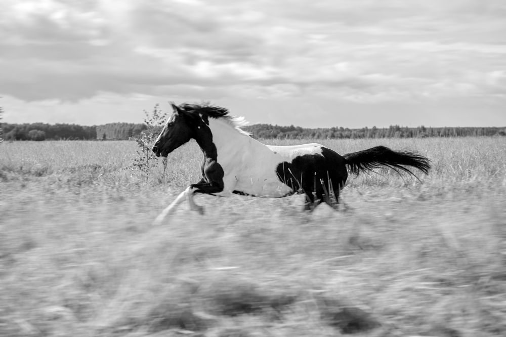 Photograph by Михаил Семенов