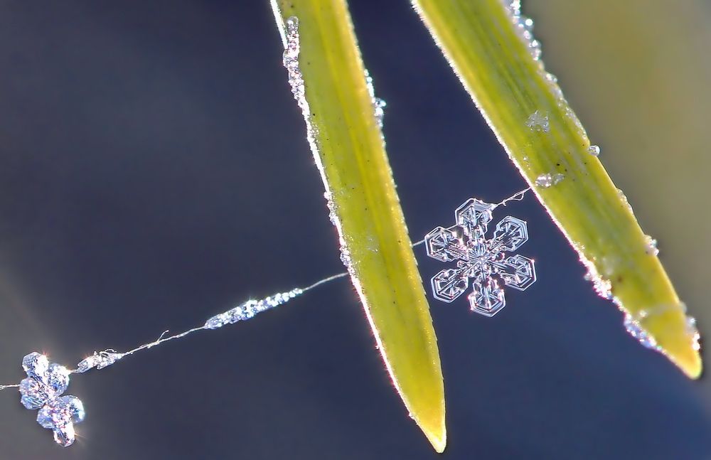 Photograph by Любовь Саханова