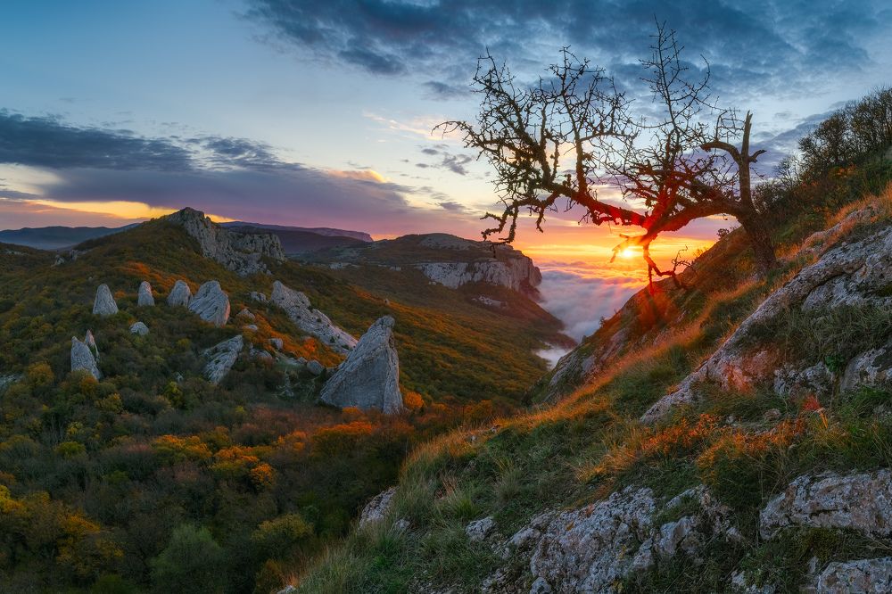 Photograph by Konstantin Voronov