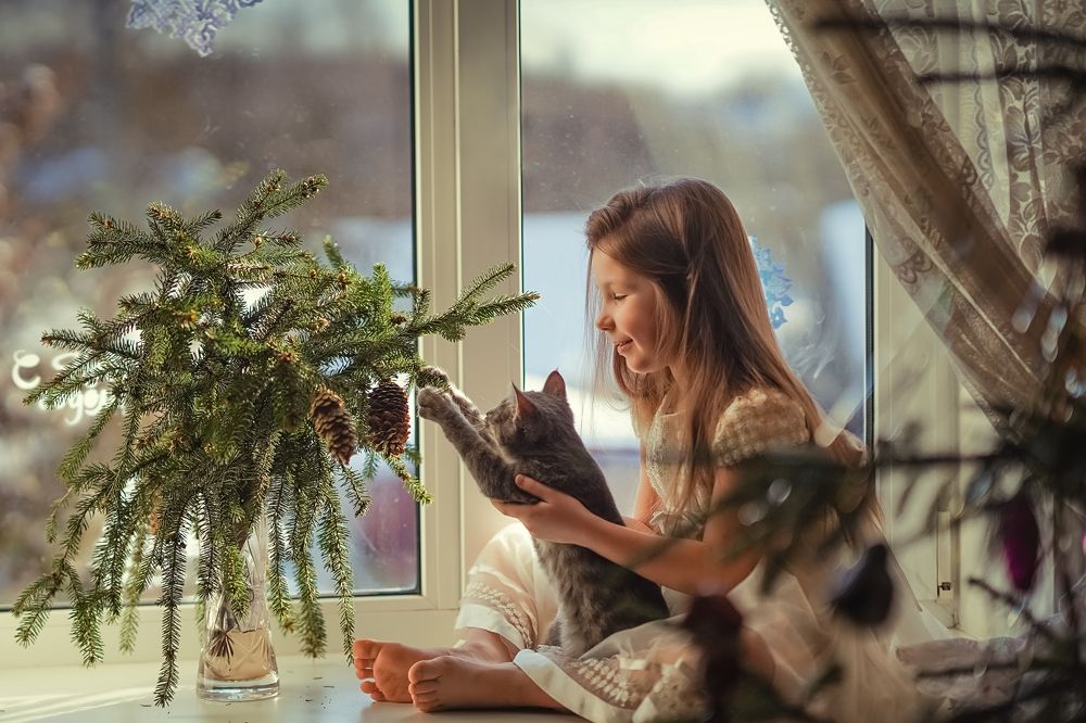 Photograph by Наталья Шкроб