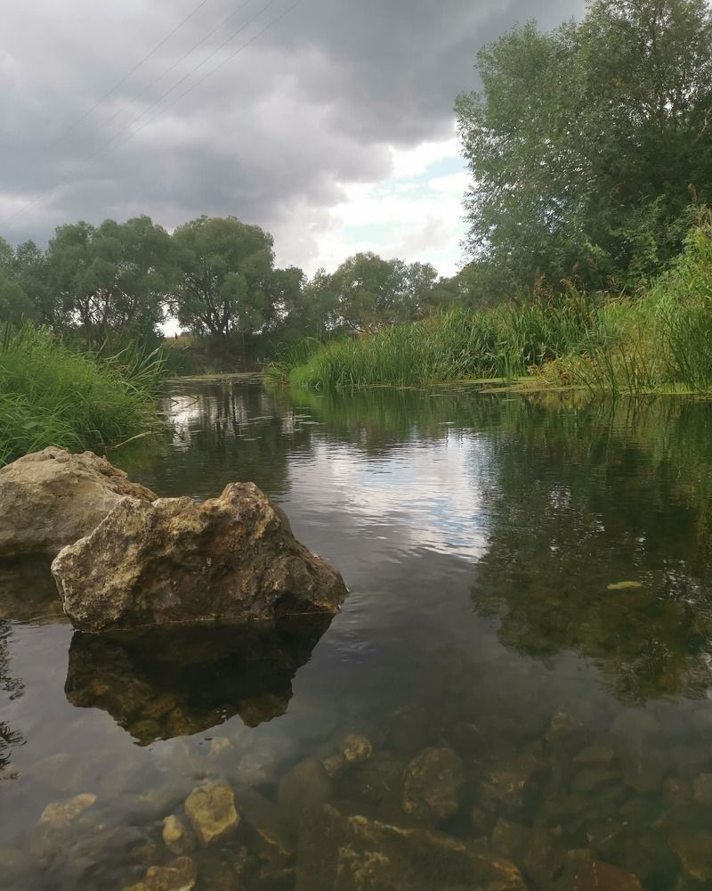 Утро на реке Дон