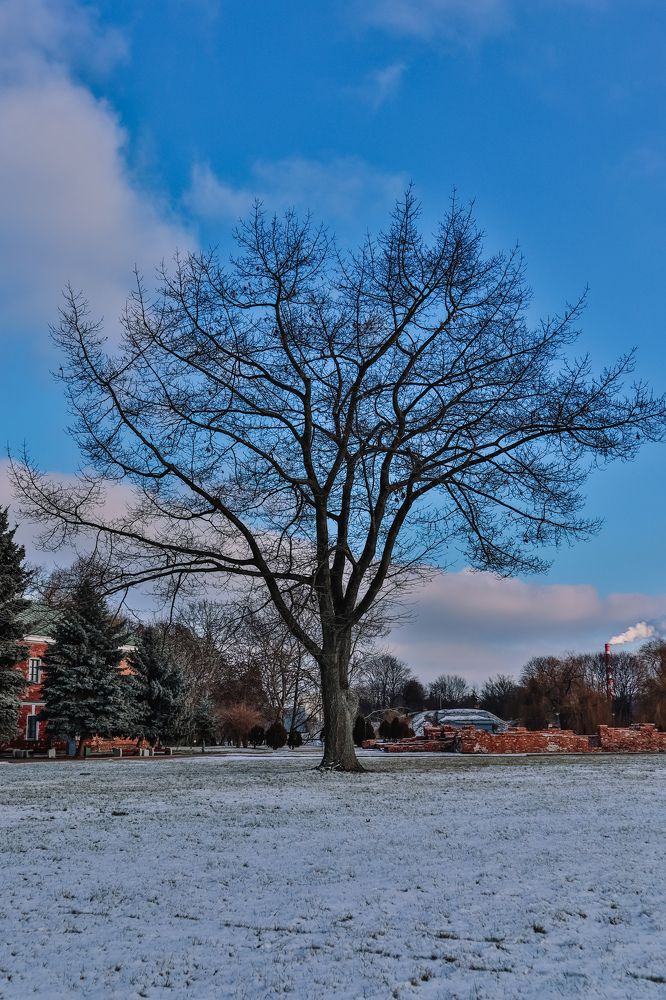 Photograph by Sen Music