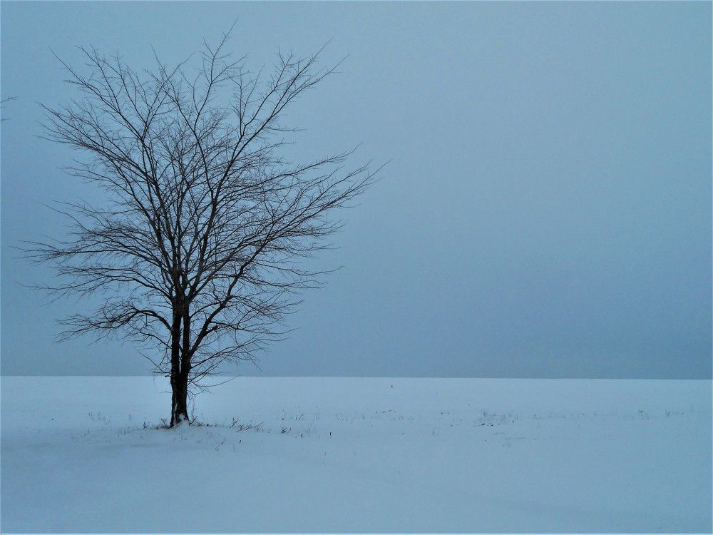 Photograph by Наталья Галай