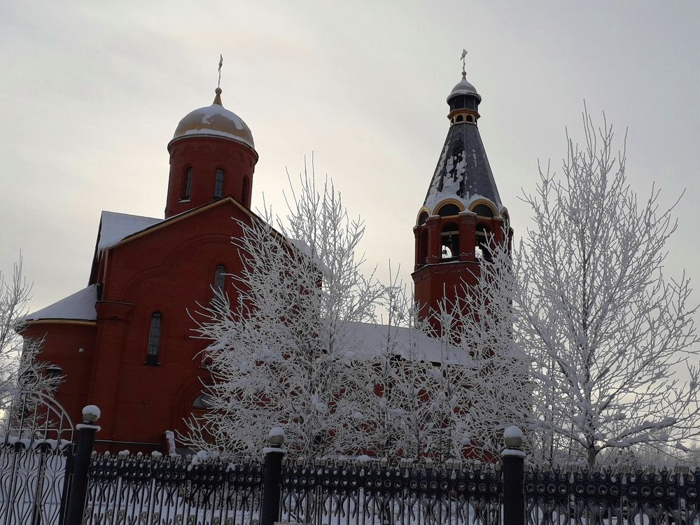В снежных шубках