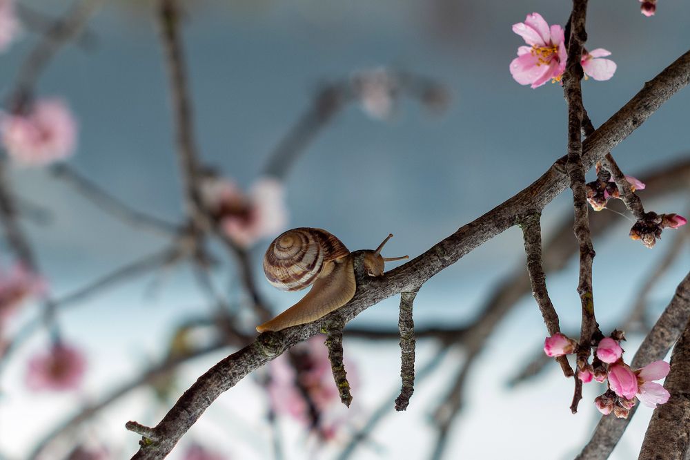 Photograph by Вадим К