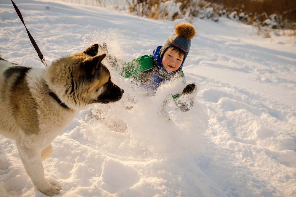 Фотография автора Анна Толмачева
