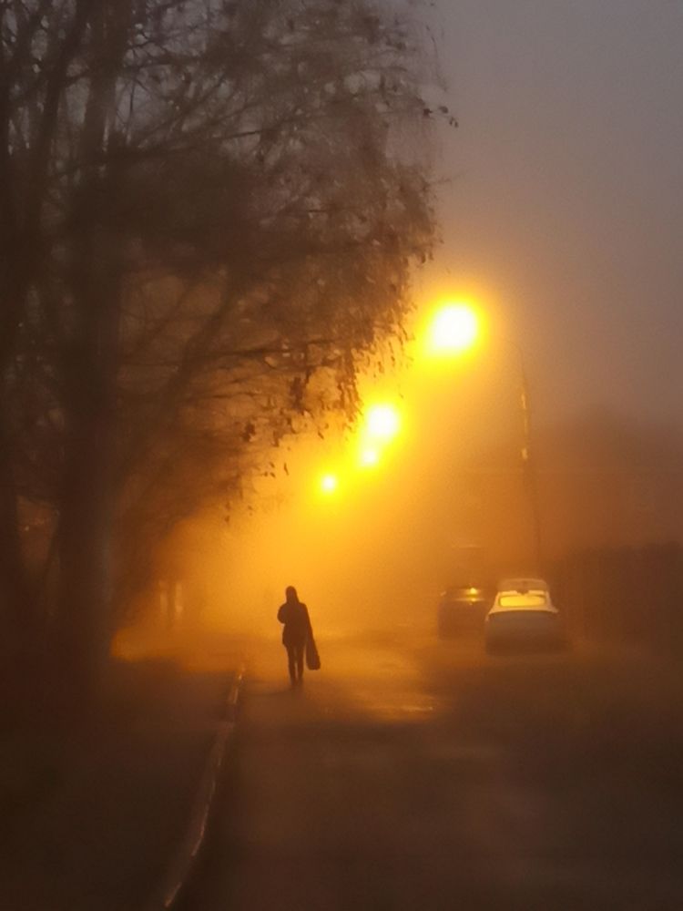 Photograph by Eлена Смирнова