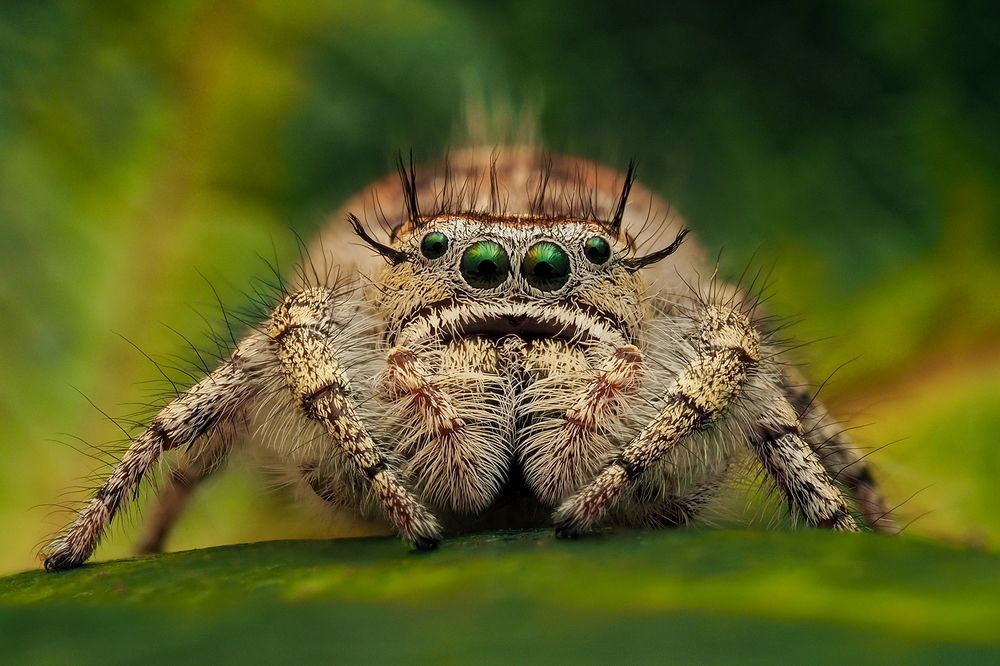 Photograph by Richard Kubica