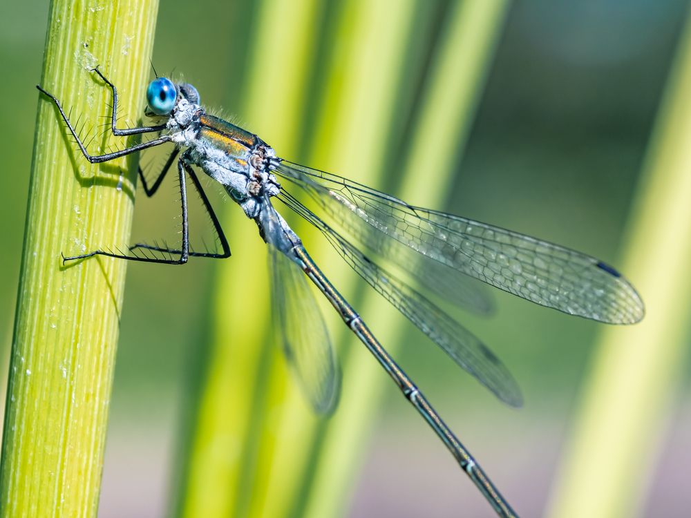 Photograph by Линк Ольга