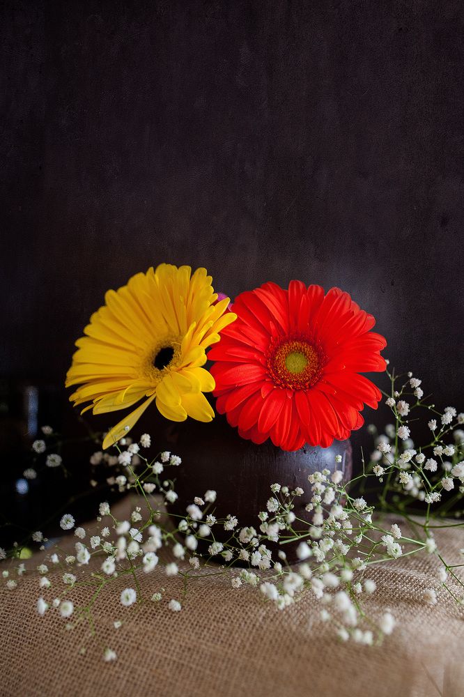 Фотография автора Альбина Кадочникова