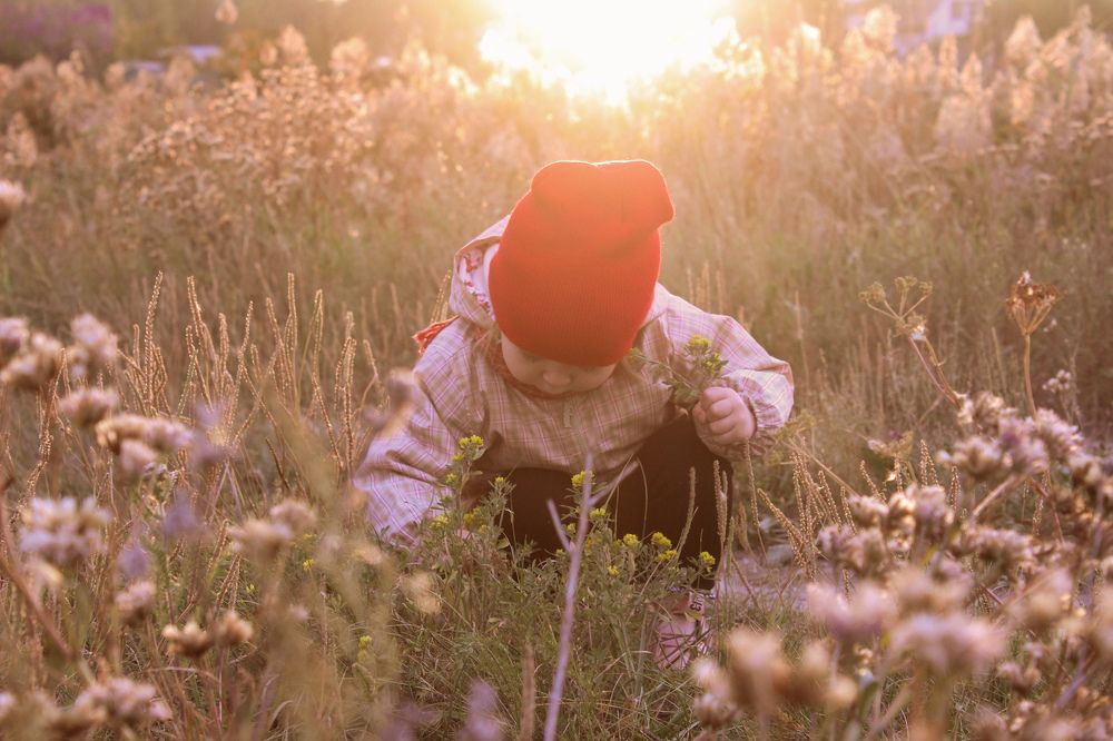 Photograph by Светлана