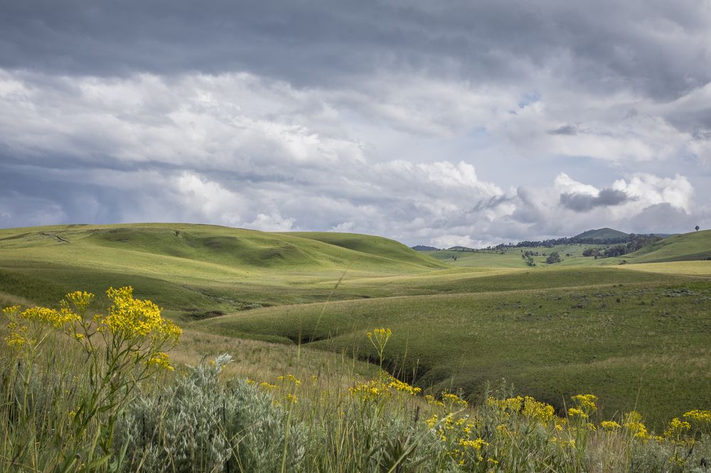 Фотография автора Patrick Hozza