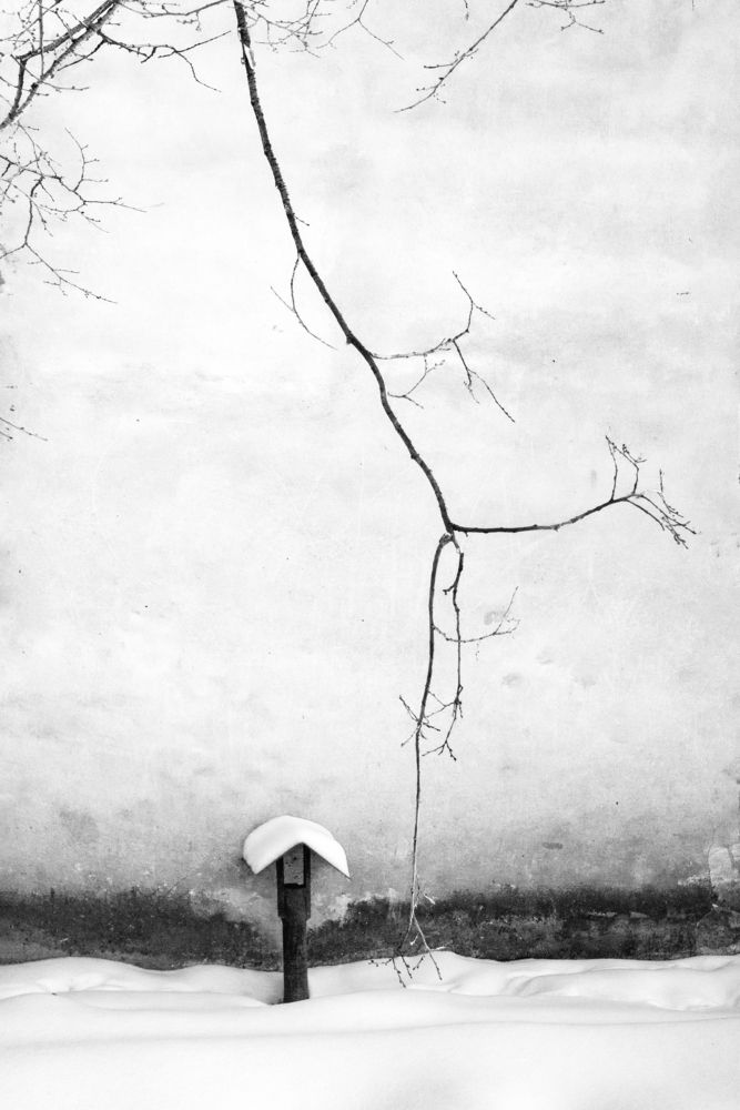 Photograph by Константин шумский