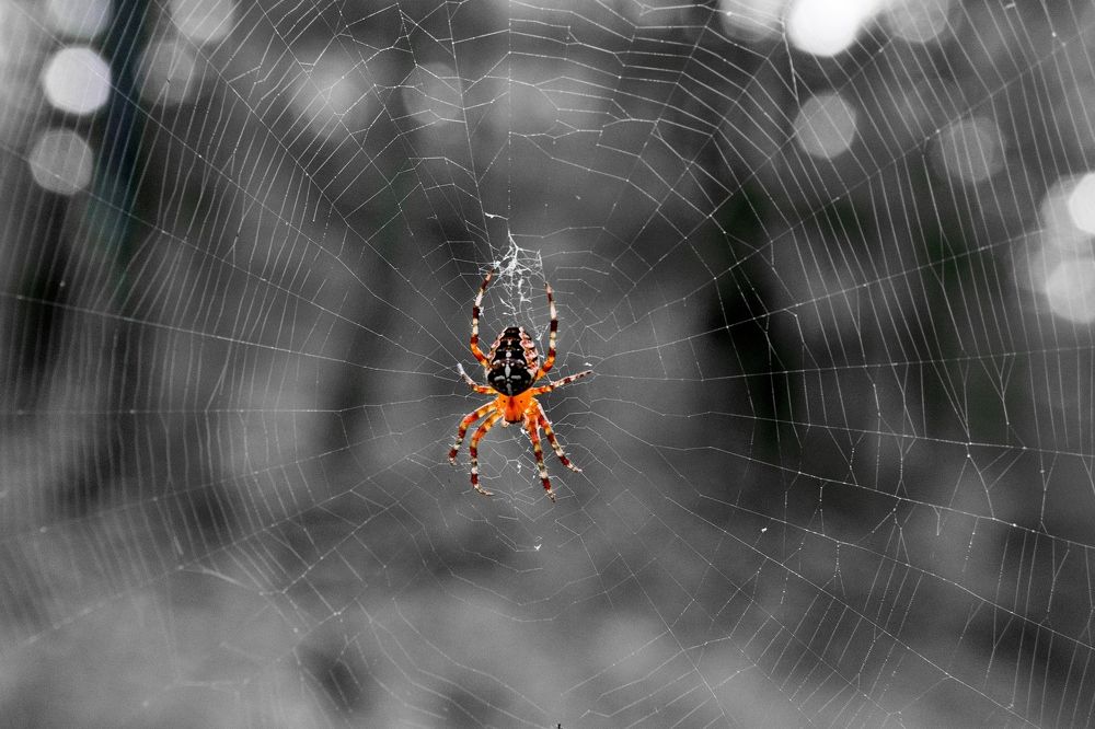 Фотография автора Виталий Побединский