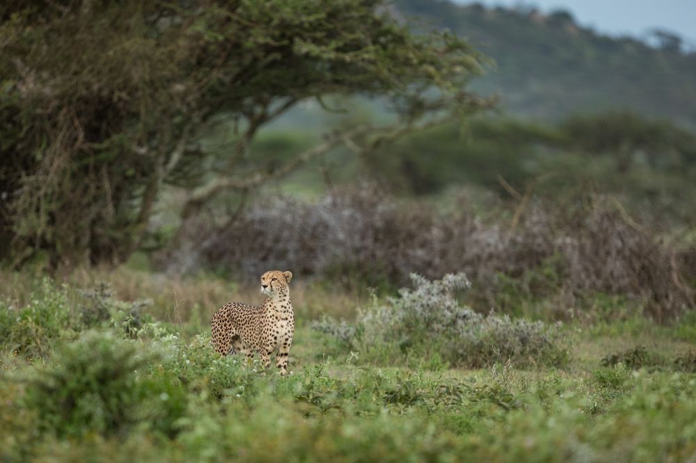 Фотография автора Patrick Hozza