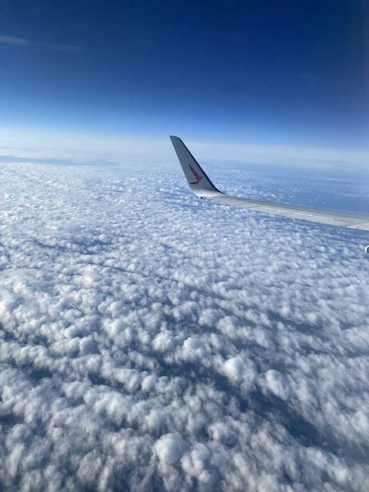 Фотография автора Алина