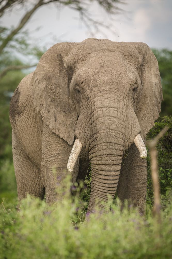 Фотография автора Patrick Hozza