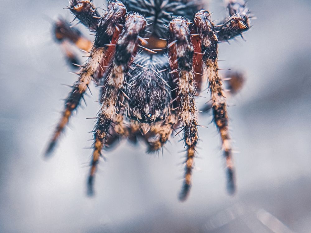 Photograph by Aung Myint Myat