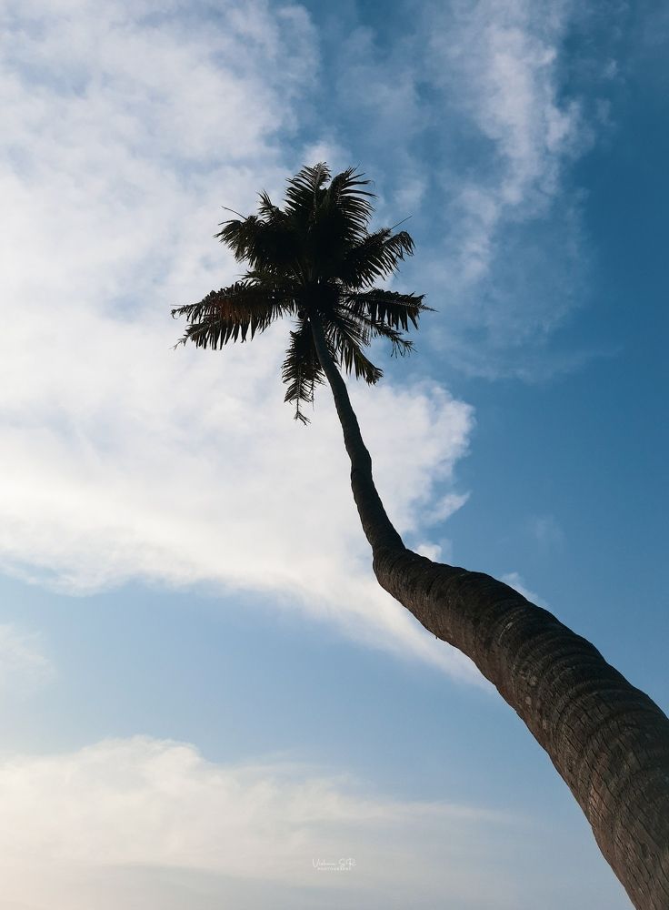 Photograph by Vishnu SR